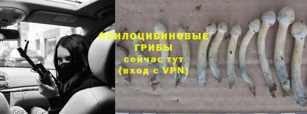 стафф Баксан