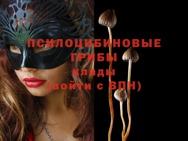стафф Баксан