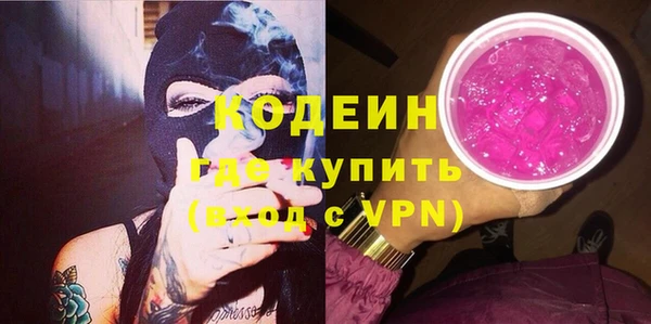 apvp Иннополис