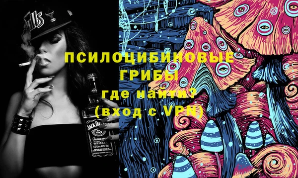 стафф Баксан